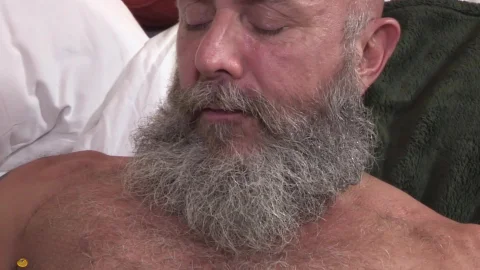 Bear Films: Ass-to-Mouth Symphony