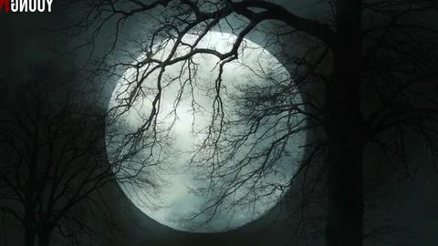 Toys and Twists in Halloween Horror