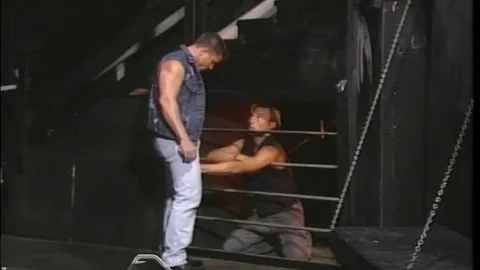 Falcon Studios: Frenzied Friction for Foxes