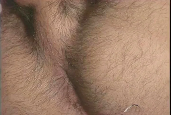 Falcon Studios: Breaking Limits in the Corner of the Club