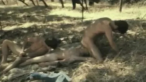 Falcon Studios: Sap Dripping, Sodomy in the Sylvan Scene