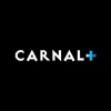 CarnalPlus avatar