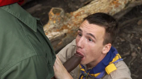 scoutboys: A Woodland Symphony of Love