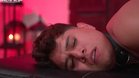 Taking A Walk On The Wild Side