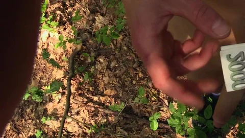 CzechHunter: A Slavic Beauty In Town