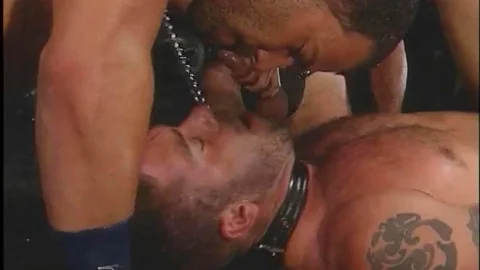 Falcon Studios: Feral Threesomes in The Night