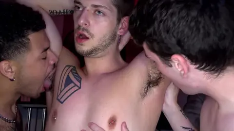 PitsAndPubes: Three Gay Twinks Gathered For Armpit Sniffing