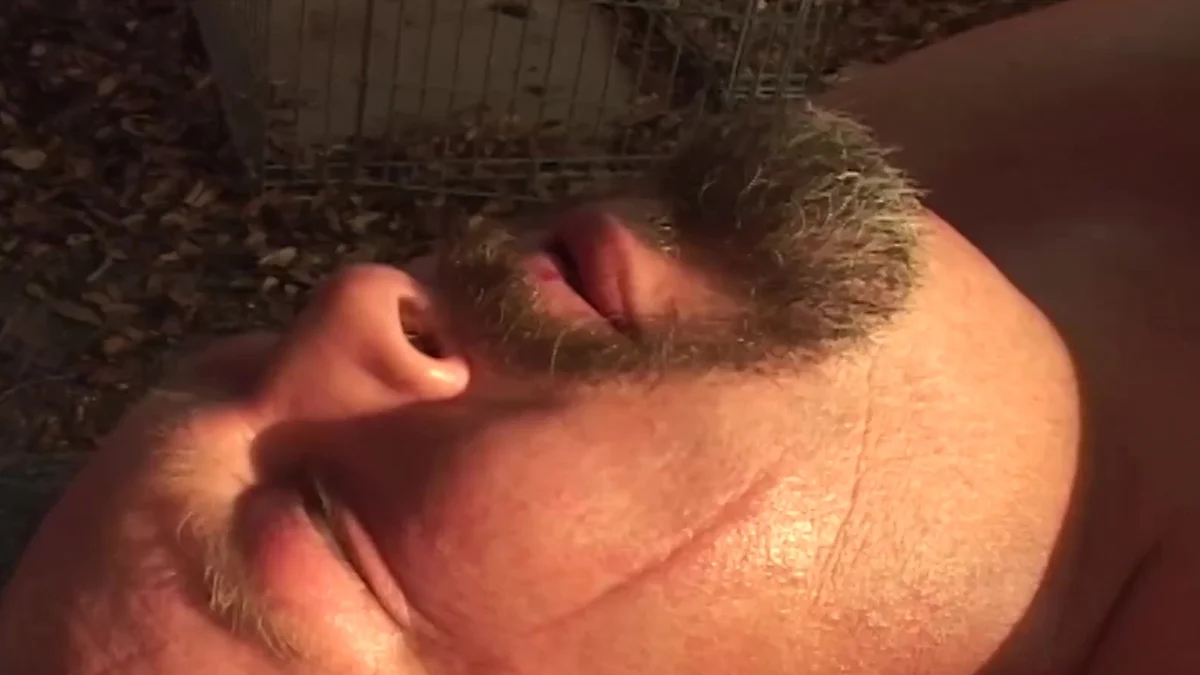 Bear Films: Bareback Bears Find Joy In Nature