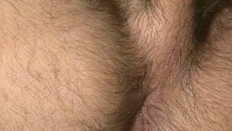 Falcon Studios: Breaking Limits in the Corner of the Club