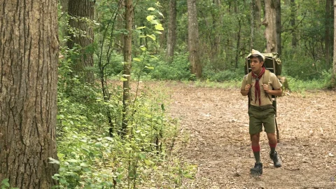 A Kissing Trio in the Woods